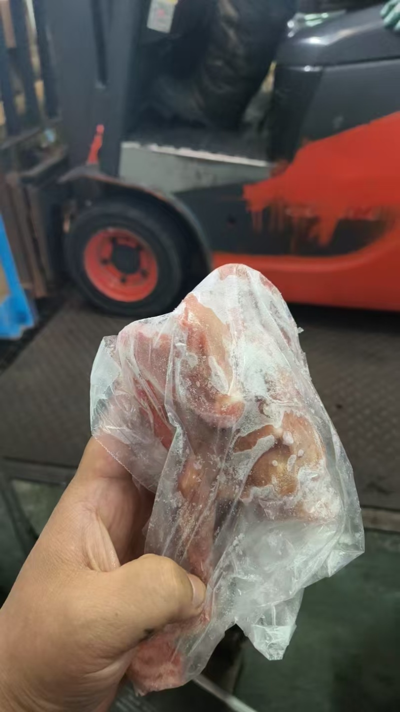 鸽子两万只