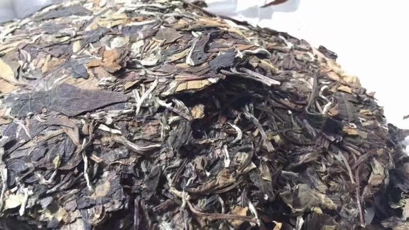 老白茶