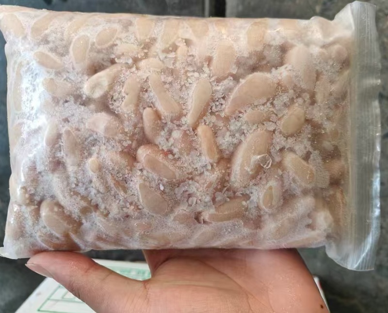鸡腰子大肉食鸡母鸡三黄鸡腰子各种品种齐全质量产量稳定手续齐全