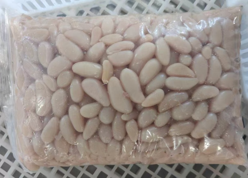 鸡腰子大肉食鸡母鸡三黄鸡腰子各种品种齐全质量产量稳定手续齐全