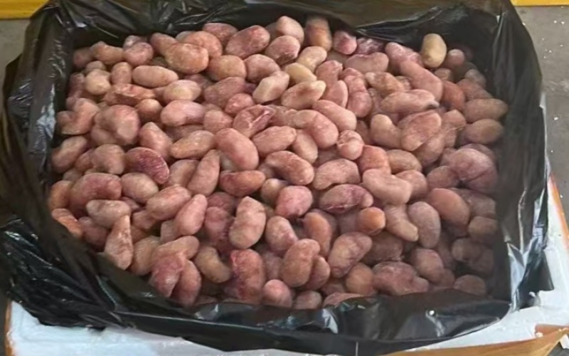 鸡腰子大肉食鸡母鸡三黄鸡腰子各种品种齐全质量产量稳定手续齐全