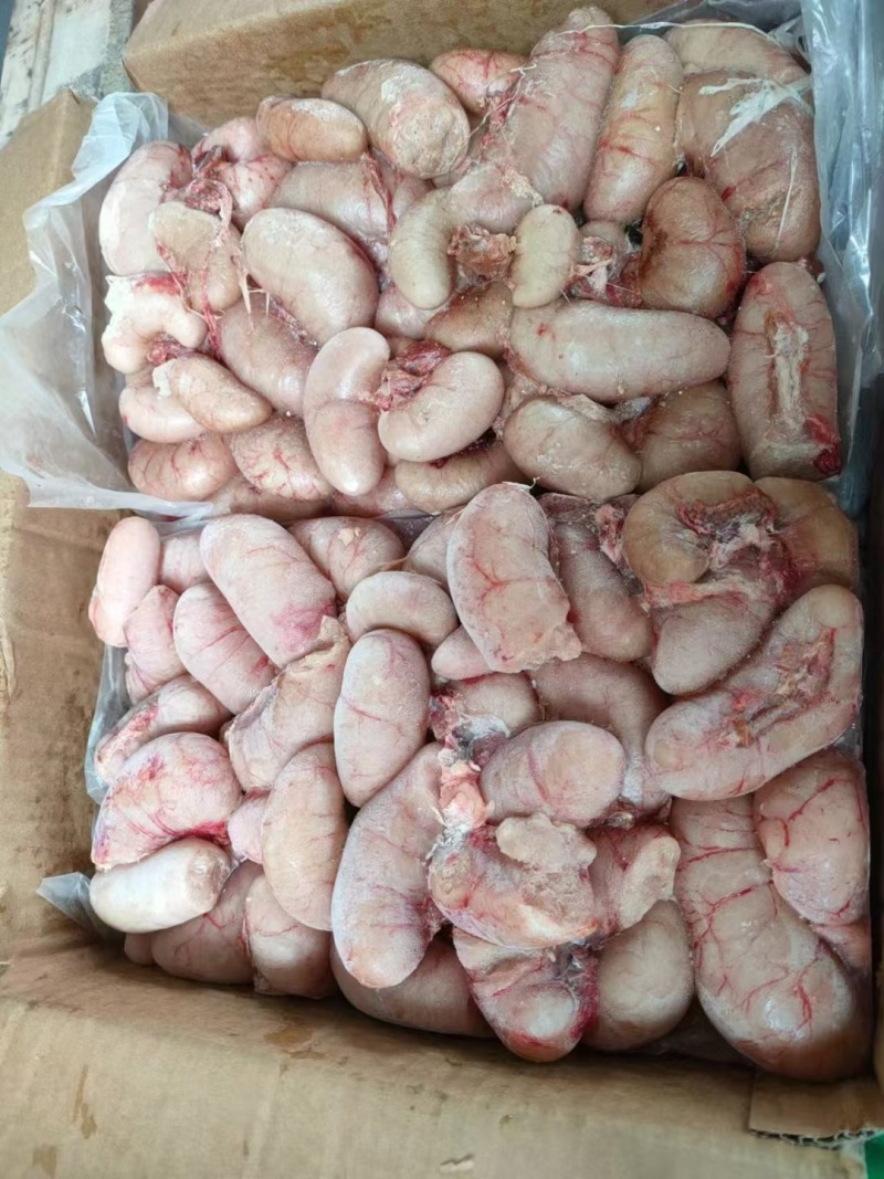 鸡腰子大肉食鸡母鸡三黄鸡腰子各种品种齐全质量产量稳定手续齐全