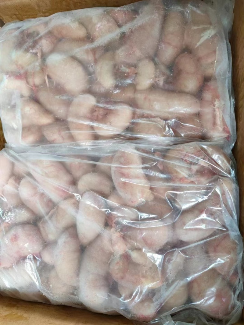鸡腰子大肉食鸡母鸡三黄鸡腰子各种品种齐全质量产量稳定手续齐全