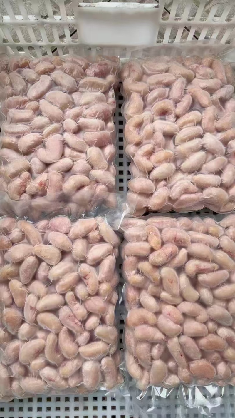 鸡腰子大肉食鸡母鸡三黄鸡腰子各种品种齐全质量产量稳定手续齐全