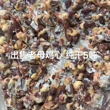 出售老母鸡心纯干5吨