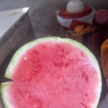 美都麒麟瓜，锦都一号都有