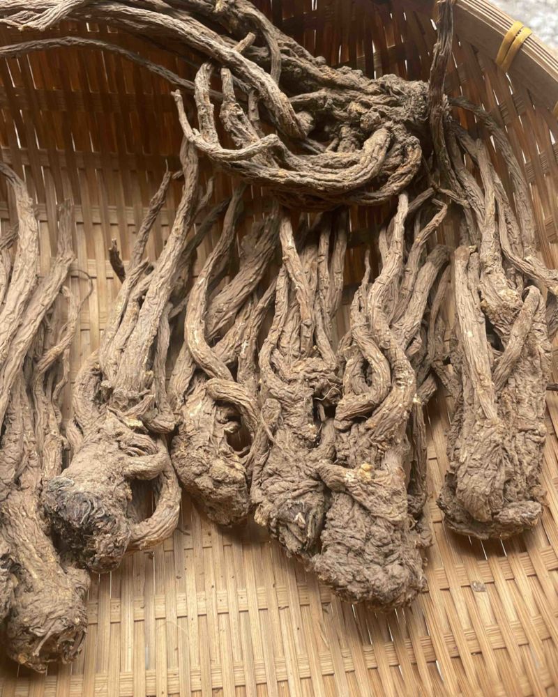 ￼无硫当归个子原装大中小一手货源长期供应