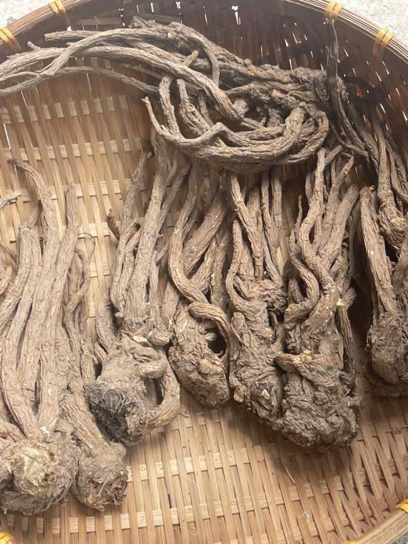 ￼无硫当归个子原装大中小一手货源长期供应