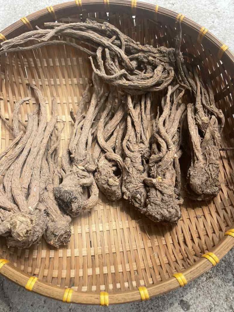 ￼无硫当归个子原装大中小一手货源长期供应