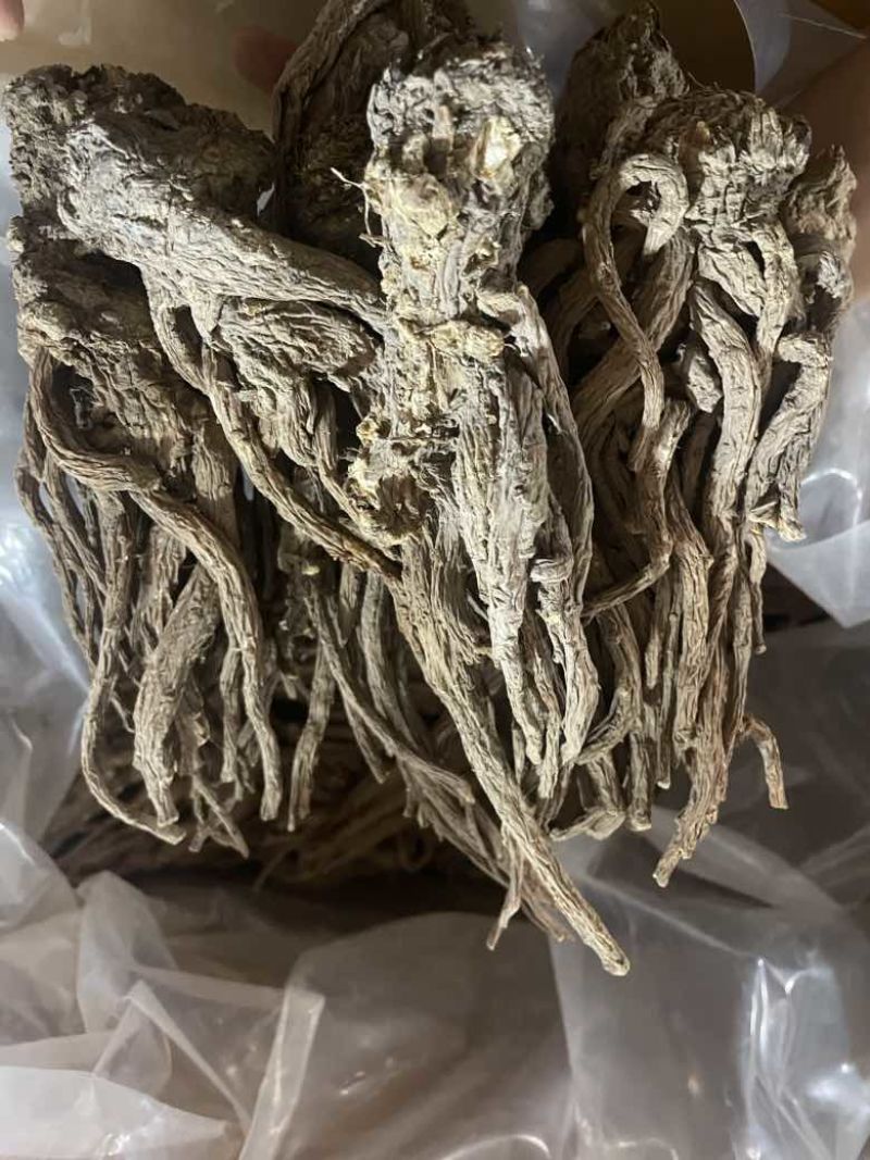 ￼无硫当归个子原装大中小一手货源长期供应