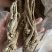 ￼无硫当归个子原装大中小一手货源长期供应