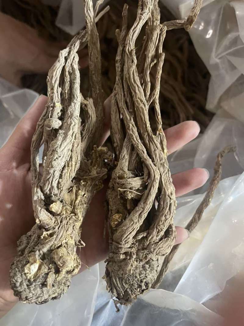 ￼无硫当归个子原装大中小一手货源长期供应