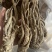 ￼无硫当归个子原装大中小一手货源长期供应