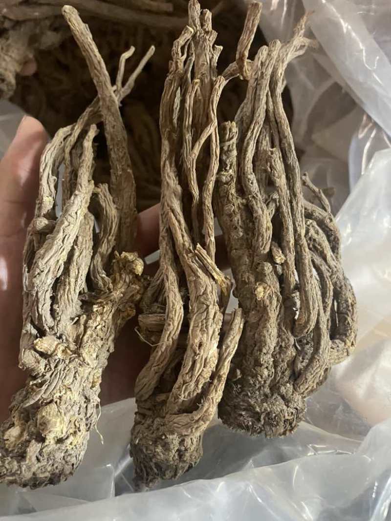 ￼无硫当归个子原装大中小一手货源长期供应