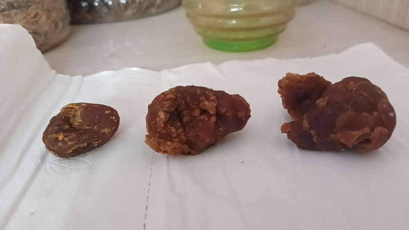 自己养了几年的鸡杀出来的鸡宝