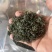 恩施硒茶，绿茶红茶藤茶