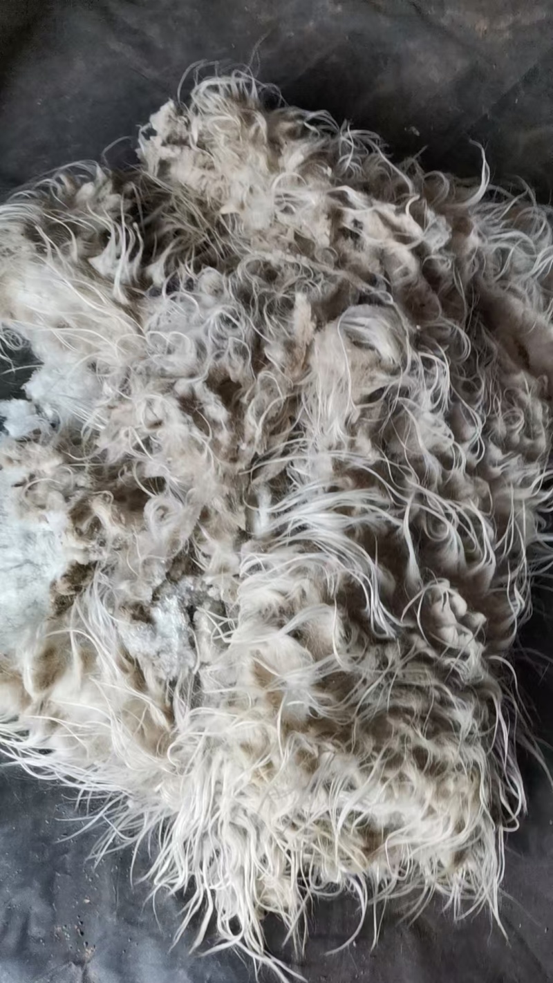 山羊毛