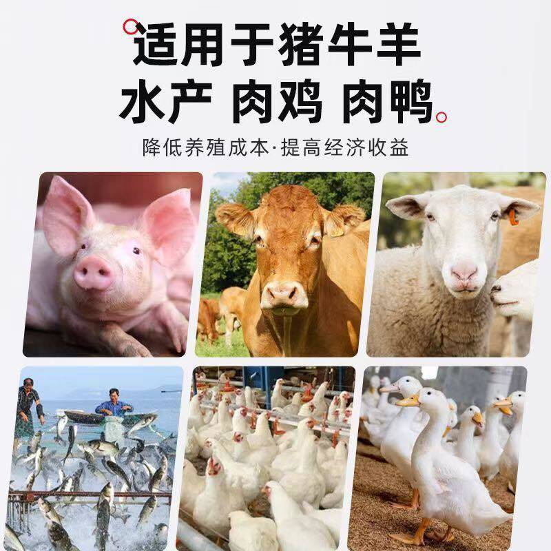 四川五粮液泸州老窖烘干白酒糟