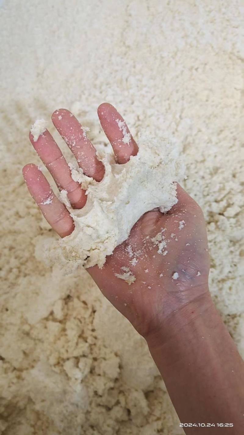 四川宜宾袋装鲜豆渣