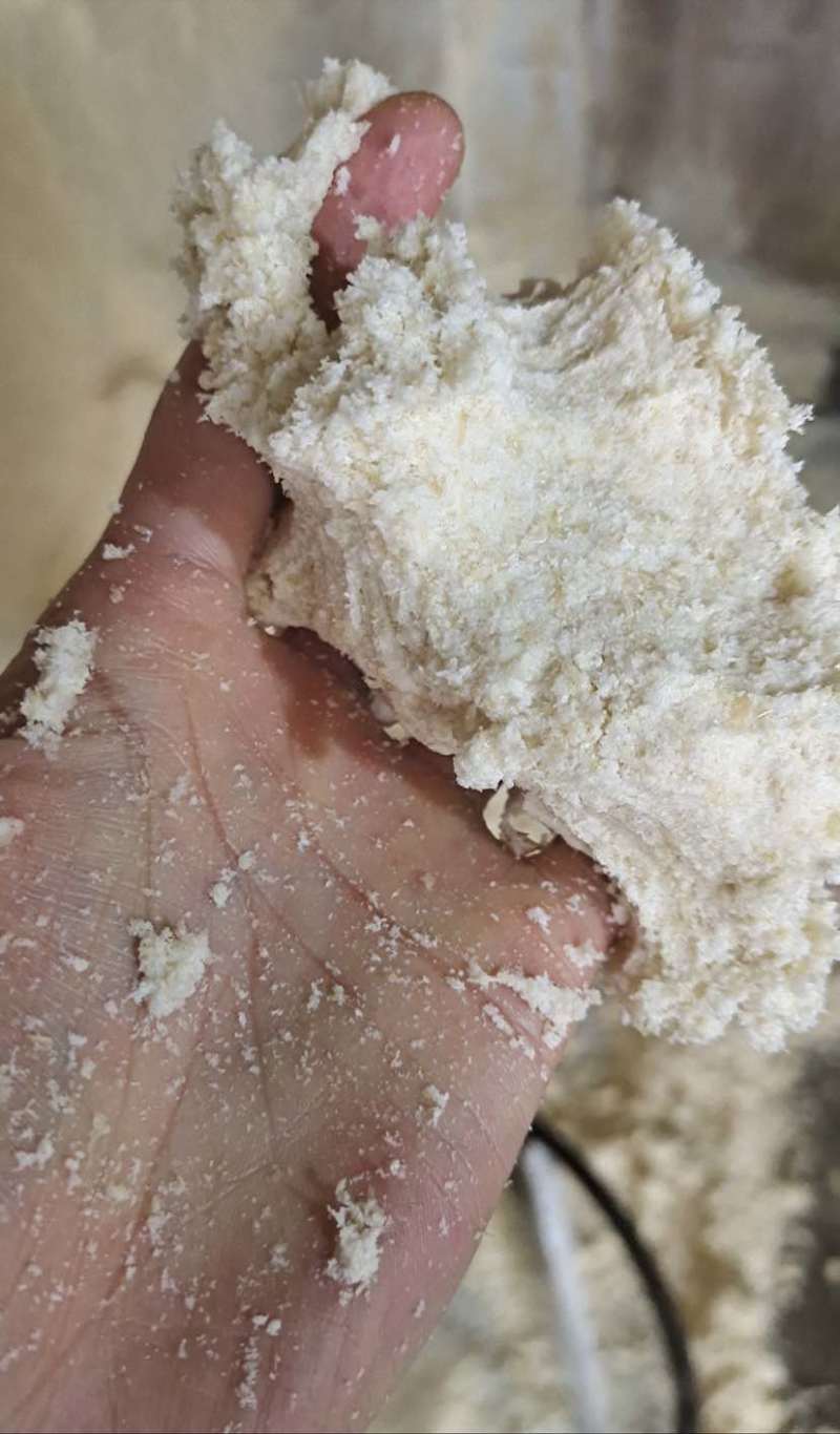 四川宜宾袋装鲜豆渣