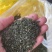 各种低档茶