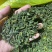 各种低档茶