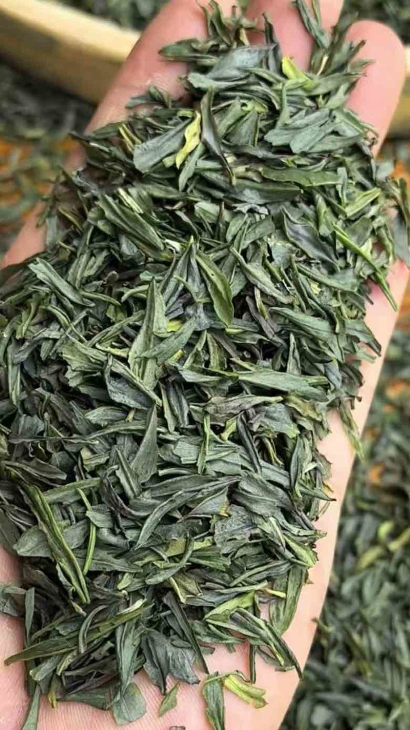 各种低档茶