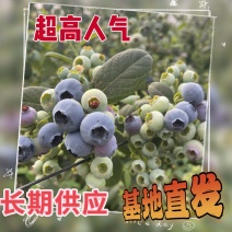 云南澄江抚仙湖花香蓝莓，3000亩基地直发，满足各种包装