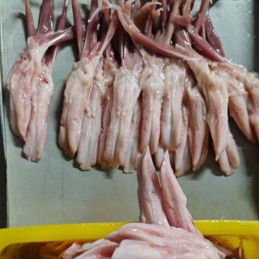 精品鸭舌冻品规格型号齐全工厂发货物流