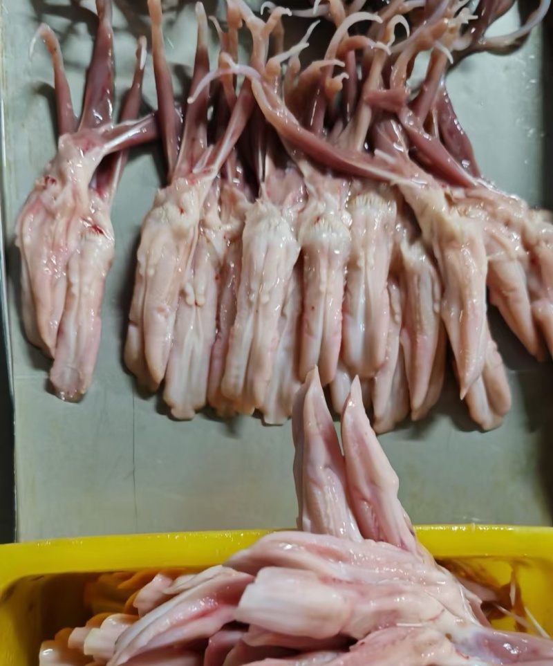 精品鸭舌冻品规格型号齐全工厂发货物流