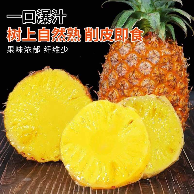 海南金钻凤梨新鲜水果树上熟