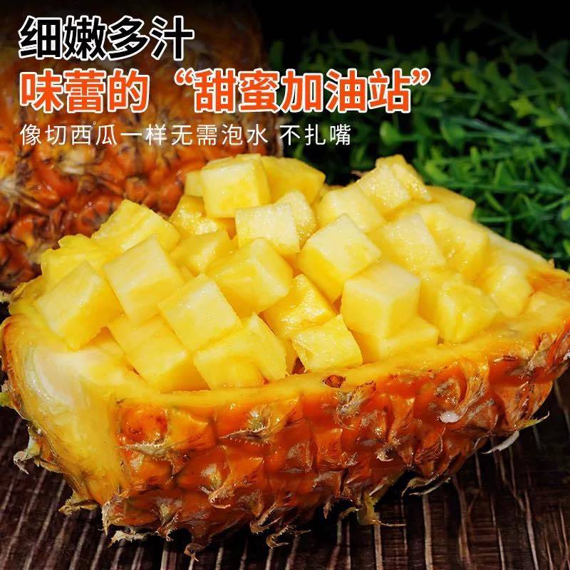 海南金钻凤梨新鲜水果树上熟