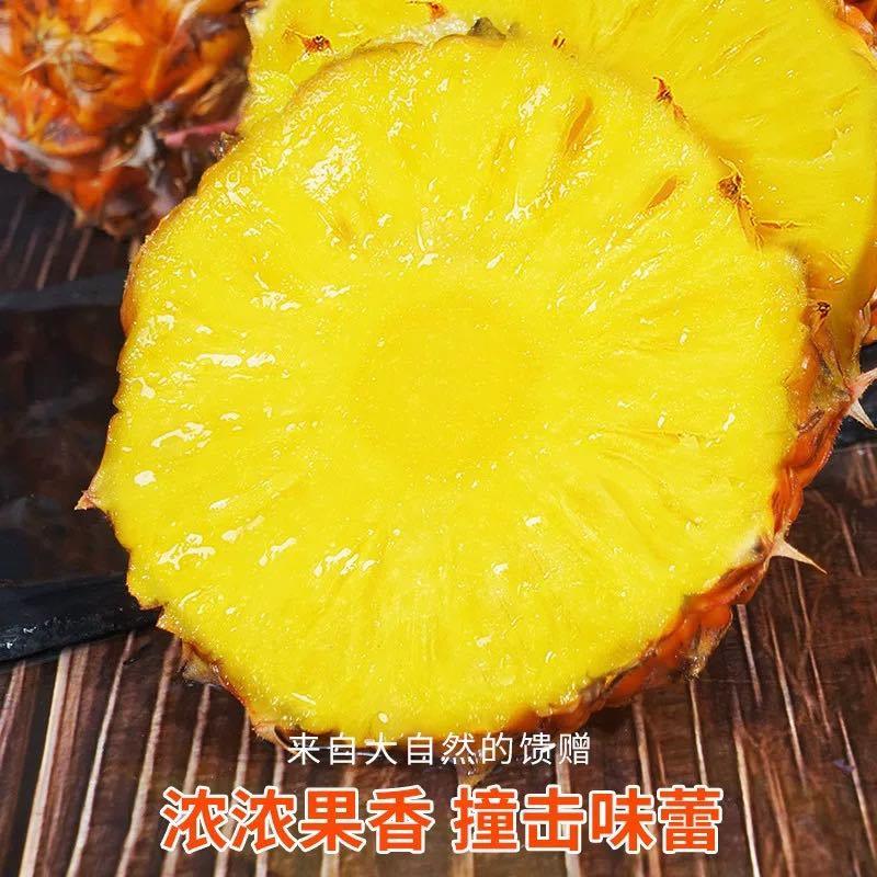 海南金钻凤梨新鲜水果树上熟