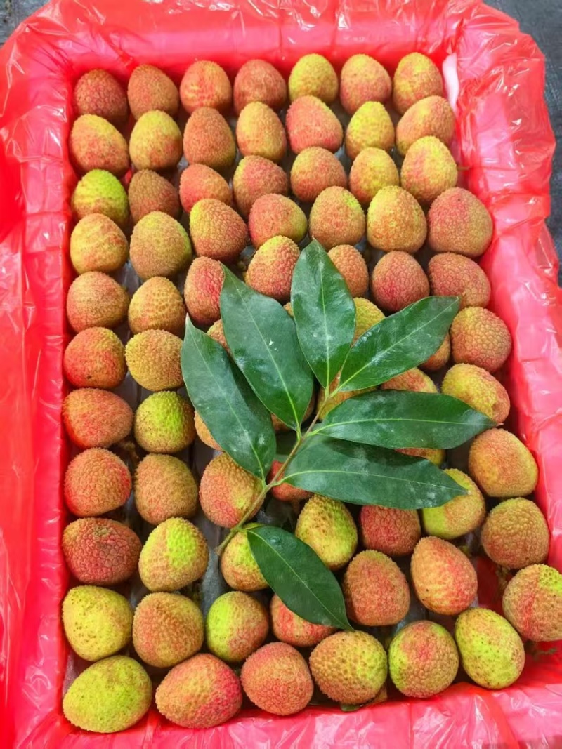 香气独特：桂花香荔枝因具有桂花香气而得名，其飘香含蜜，汁水丰