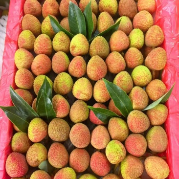香气独特：桂花香荔枝因具有桂花香气而得名，其飘香含蜜，汁水丰