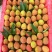 香气独特：桂花香荔枝因具有桂花香气而得名，其飘香含蜜，汁水丰