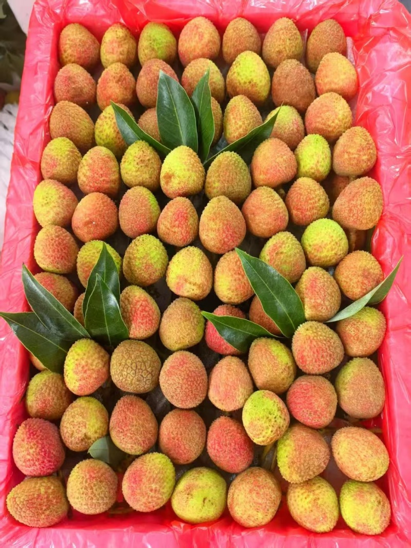 香气独特：桂花香荔枝因具有桂花香气而得名，其飘香含蜜，汁水丰