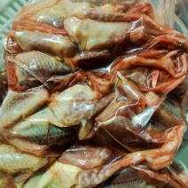 厂家10只装4-5原粮鸽子3.5万只，量大谈
