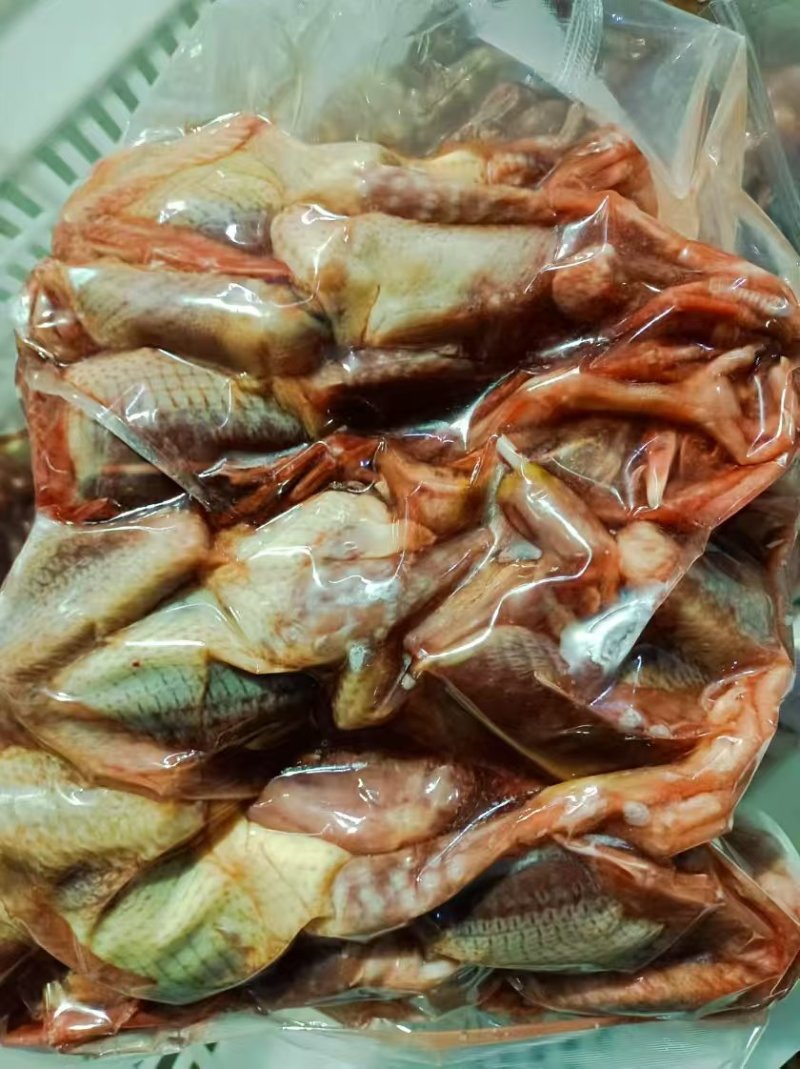 厂家10只装4-5原粮鸽子3.5万只，量大谈