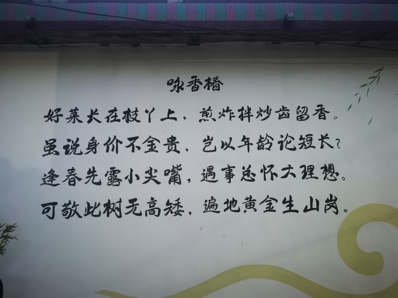 香椿