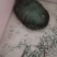 乌龟🐢，只有一只，6斤重
