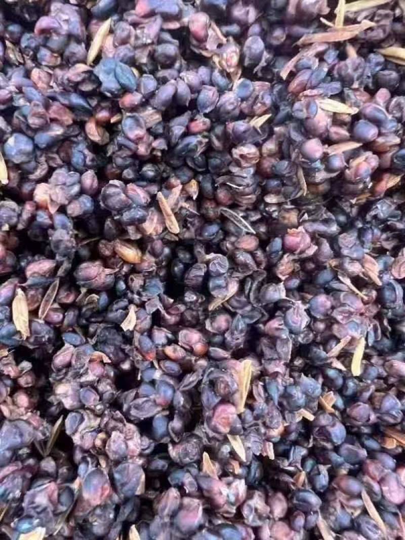高粱酒糟60-99%比例含量粮食多多