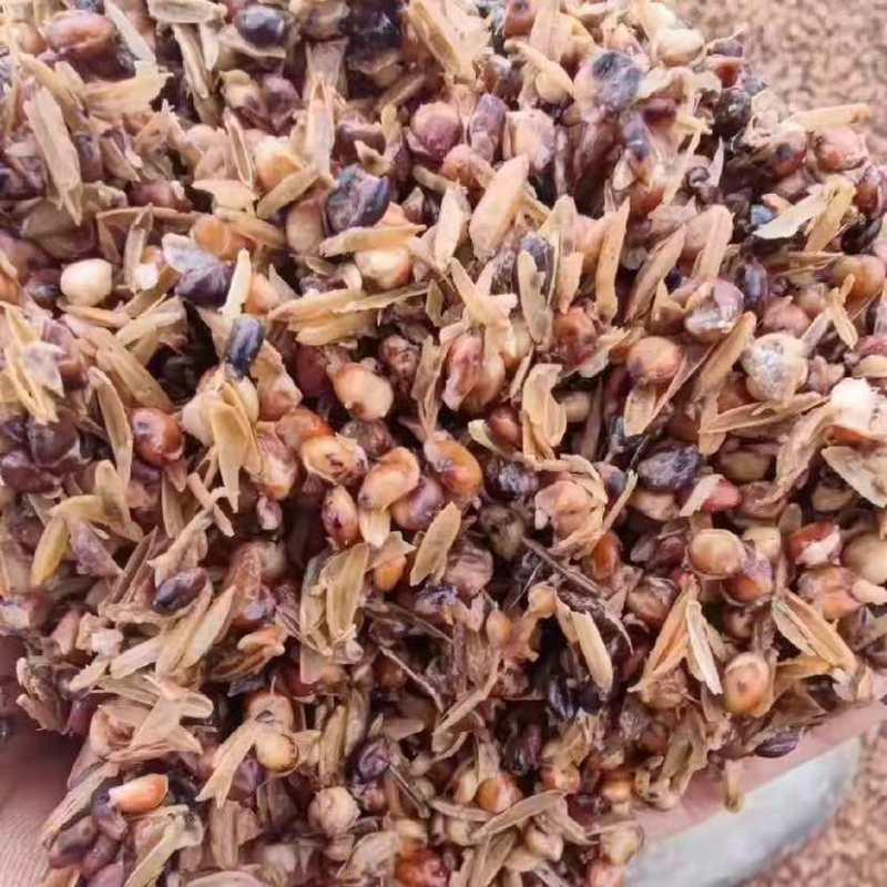高粱酒糟60-99%比例含量粮食多多