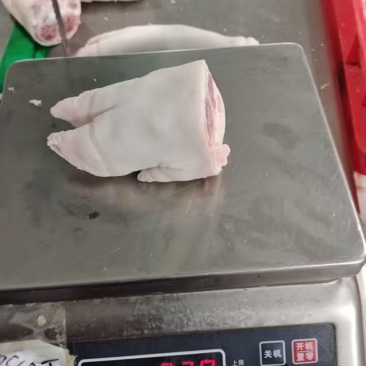 猪副
