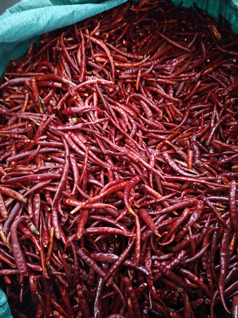 丘北辣椒