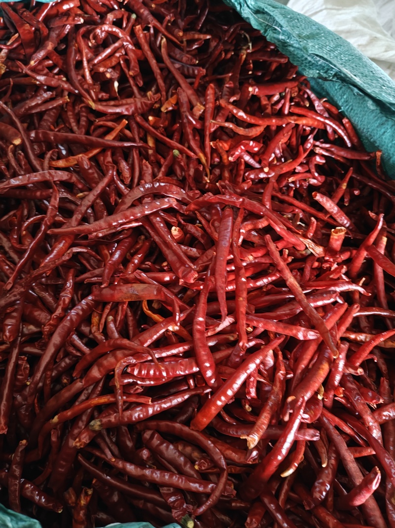 丘北辣椒