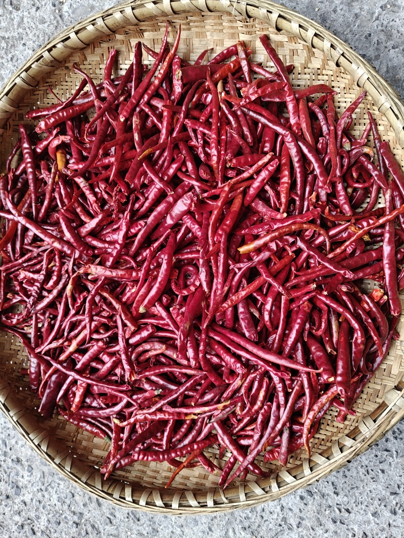 丘北辣椒