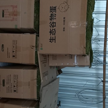 野生苔藓