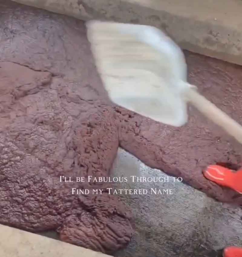 红虫，红线虫，基地直发，自产自销