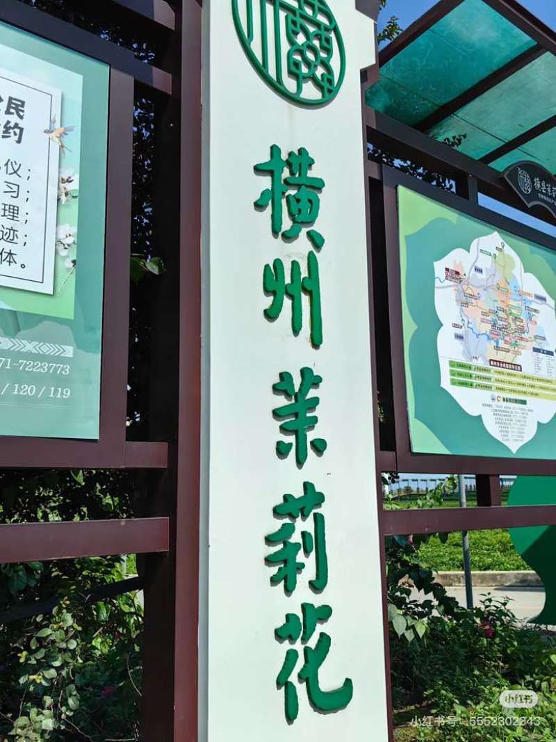 直销茉莉花干横县源头工厂诊所药店中药材批发